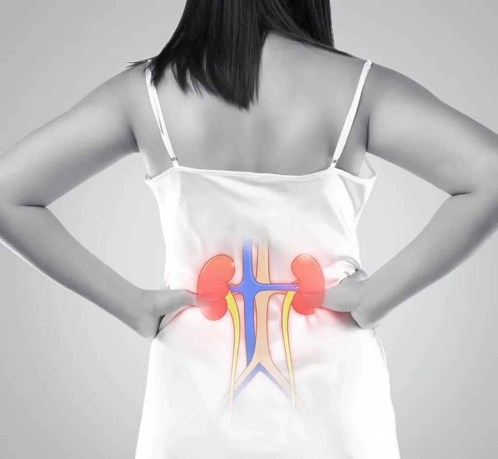Image-guided kidney biopsy procedure